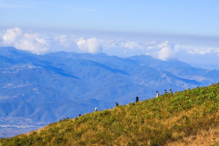 Full Day Doi Inthanon & Kew Mae Pan Trekking (Nov-May Only)