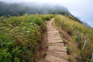 Full Day Doi Inthanon & Kew Mae Pan Trekking (Nov-May Only), Chiang Mai
