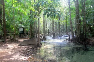 Jungle Tour Krabi – M.1 Full Day: Hot Spring Waterfall + Emerald Pool + Lunch + National Park Fee Excluded – (Guest Have to Pay 650 THB Per Pax Directly), Krabi