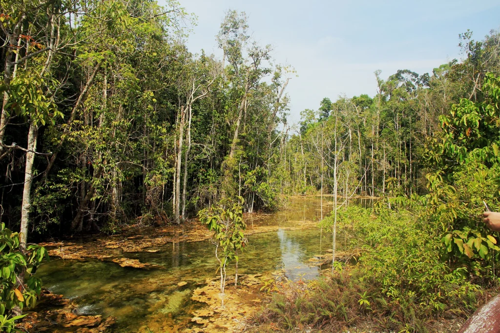 Krabi Jungle Tour (Hot Springs , Emerald Pool ,with Lunch (Including NPF) + 30 Min. ATV – Sic