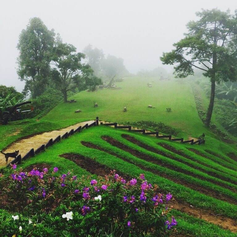 Mae Taeng – A3+R10 3 Hrs. ATV Driver + 10 Km. Whitewater Rafting.