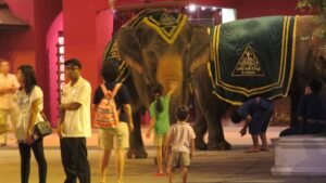 Siam Niramit Phuket – Gold Seat (Show with Dinner), Phuket