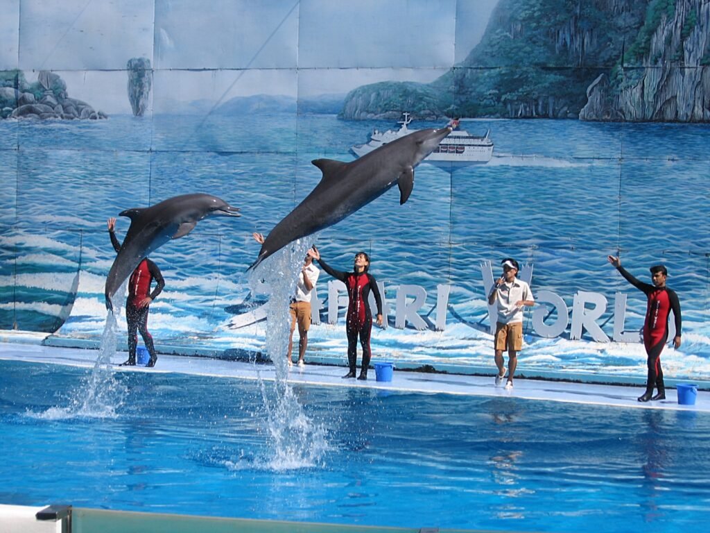 BKK Airport – Safari World + Marine Park + Buffet Lunch – Pattaya Hotel